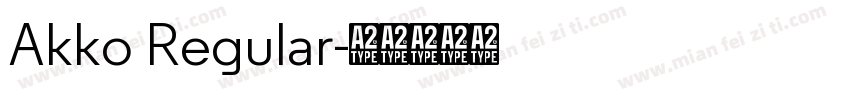 Akko Regular字体转换
